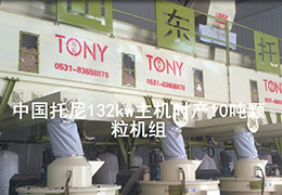 帶水印6臺132kw顆粒機(jī)壓制顆粒視頻